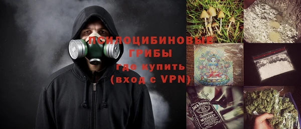 ешки Алексеевка