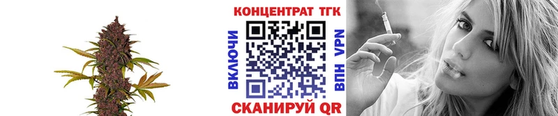 blacksprut рабочий сайт  Красный Кут  ТГК вейп с тгк 
