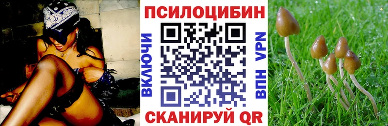 где можно купить наркотик  Красный Кут  Галлюциногенные грибы прущие грибы 